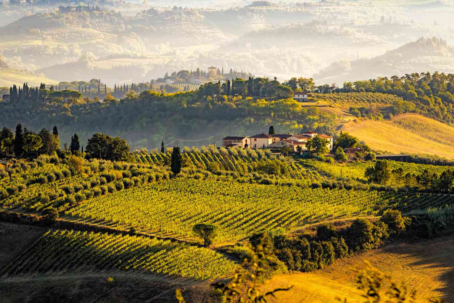Agri Tourism